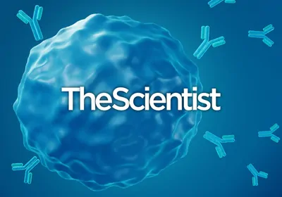 Training the Immune System to Fight Chronic Diseases